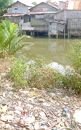 Iloilo News Shanties