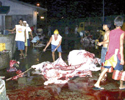 Iloilo News : Iloilo Slaughter House