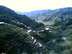 Sagada