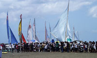 Paraw Regatta