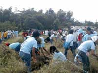 Gawad Kalinga