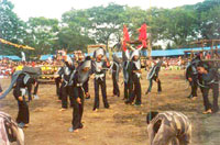 Pantat Festival