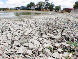 Swampy area along the Diversion Road, Iloilo City