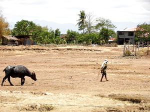 Dried up farm