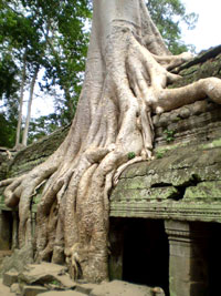 Cambodia