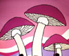 Pink Mushroom