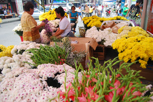 All Saints' Day and All Souls' Day celebration