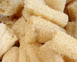 Luffa husks