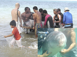 Dive instructors, residents and tourists in Boracay help carry a wounded dolphin from the waters. 
