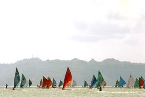 Paraw Regatta