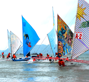 Paraw Regatta 08