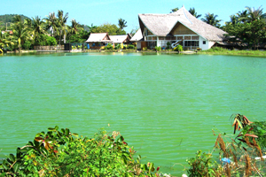 Boracay Wetlands