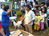 Distribution of Shoes