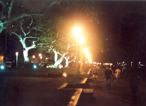 The Boulevard in Dumaguete City