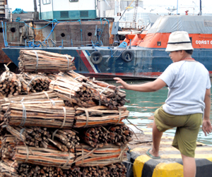 Firewoods at the Muelle Loney wharf