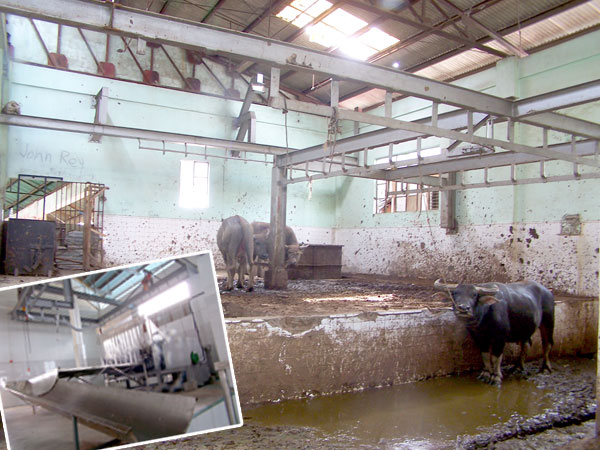 filthy slaughterhouse scenario in Molo district