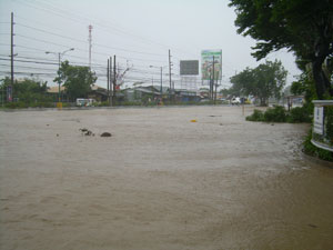 Typhoon Frank photos