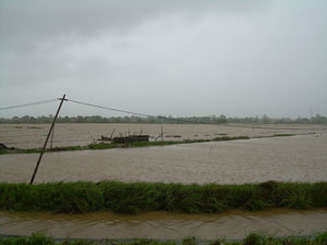 Typhoon Frank photos