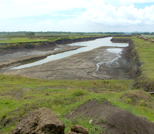 Vast tracts of land like the above area in Brgy. Tacas, Jaro
