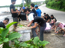 Preparing what to plant