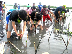 Bacolod Students