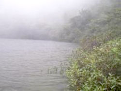 A foggy morning at Tinagong Dagat.