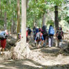 Baklay Bukid 2008