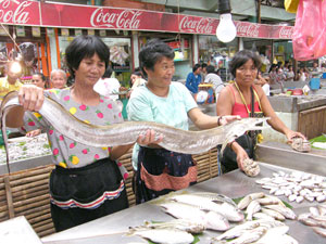 Fish vendors in Estancia, Iloilo proudly show off an extraordinarily big sand eel they are selling for only P140 per kilo in the fish market.