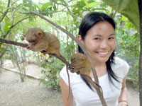 With tarsiers.
