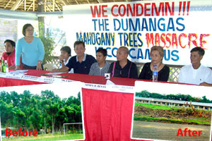 Individuals representing various sectors strongly condemn the uprooting of more than 400 mahogany trees from ISCOF Dumangas Campus.