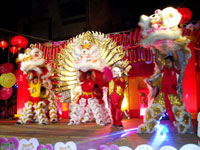 Lion and Dragon Dance for Prosperity.