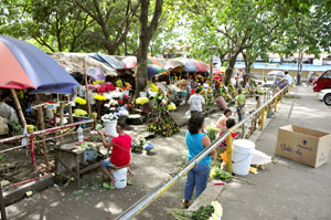 Whether there is occasion or not, flowers for sale abound in this corner of the Bacolod City public plaza.