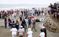 Clean Up Drive mobilization led by PNP with students, LGUs, and private sector.