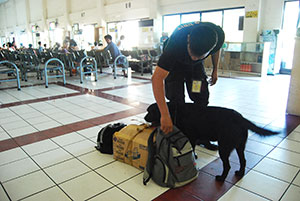 A police officer inspects a passenger's baggage with the aid of a bomb-sniffing dog inside the Iloilo port terminal.