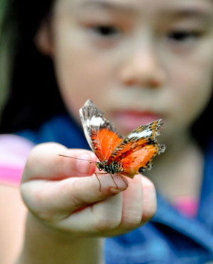 A young girl plays with a beautifully colored butterfly at the Murcia Butterfly Garden.