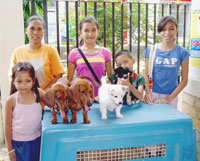 A showdown of dogs at the Capitol