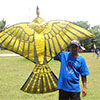 Bird Kites