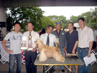 Back to back shows of the Iloilo Kennel Club, Inc.