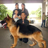 Back to back shows of the Iloilo Kennel Club, Inc.