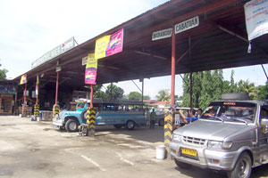 The transport strike called by Hugpong Transport and Piston-Panay may not have crippled public transportation in Iloilo City,