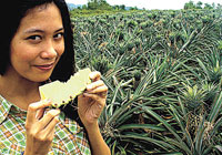 A taste of Iloilo's sweetest pineapple at Barangay Bita-ogan.