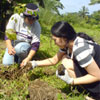 A tree planting in Sta. Barbara