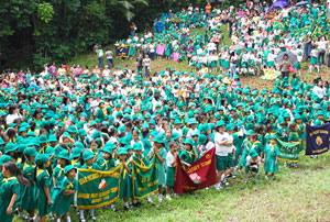 Star scouts, or young schoolgirls from 6 to 9 years old