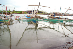Fishing boats designed for catching fry dock