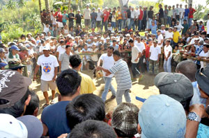 Residents of Brgy. Durog, Leon, Iloilo celebrate their fiesta with a traditional cockfighting