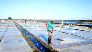 For salt farmers in Brgy. Napnud, Leganes, Iloilo the clear blue skies apparently brought by El Niño is an advantage in their production of raw salt.