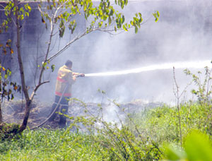 A fireman tries to stop a grass fire from spreading in one of the city's subdivisions.