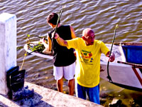 Volunteers help plant mangroves.