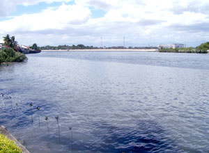 Some 3,700 kilograms of garbage were collected by environmental advocates in a recent clean-up of the Iloilo River