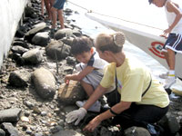 Lola teaches the importance of growing mangroves in Iloilo River.